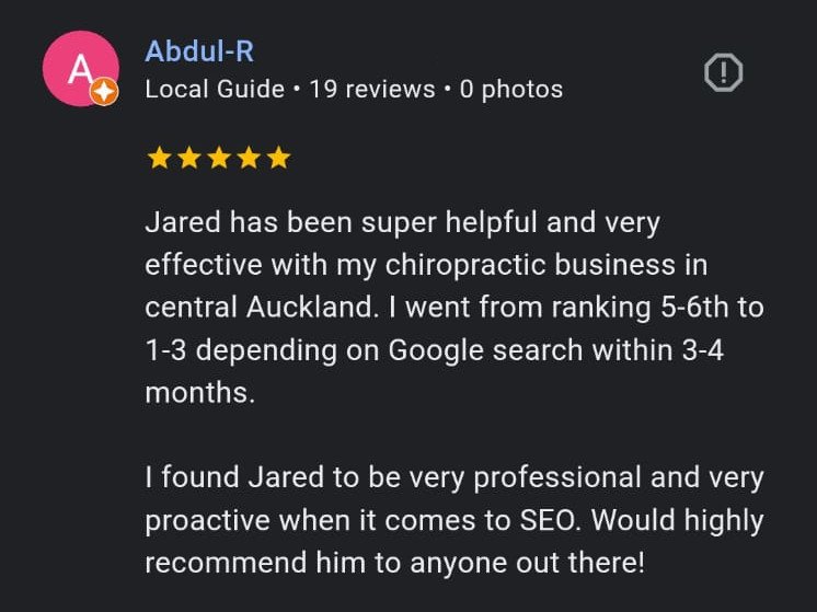 Chiropractor SEO testimonial